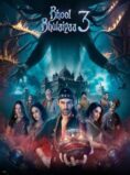Bhool Bhulaiyaa 3(2024)