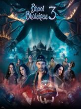 Bhool Bhulaiyaa 3(2024)