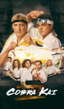 Cobra Kai (Season 6) WEB Series HDRip Dual Audio
