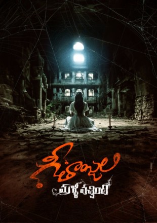 Geethanjali Malli Vachindi (2024)