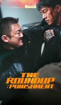 The Roundup: Punishment Dual Audio HDRip