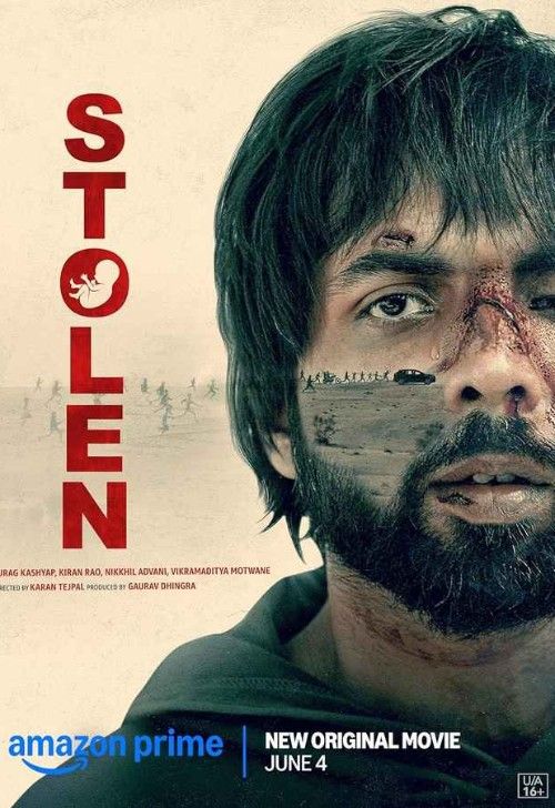 Stolen (2025) Hindi Movie